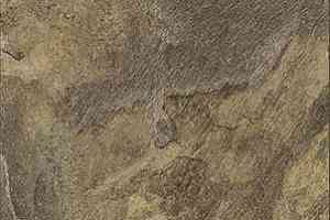 Кварцвиниловые полы Vertigo Trend / Stone & Design 5709 ANTIQUE SLATE 457.2 мм X 914.4 мм фото  | FLOORDEALER